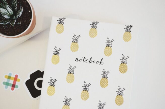 Pineapple Notebook